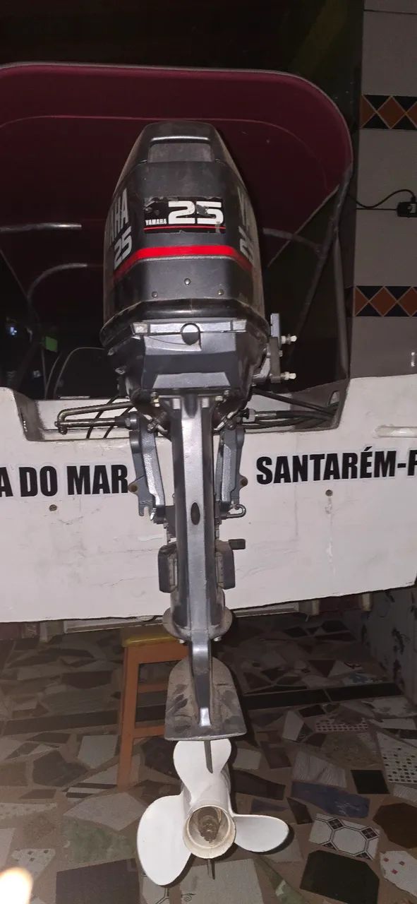 Toda documentada - Foto 2