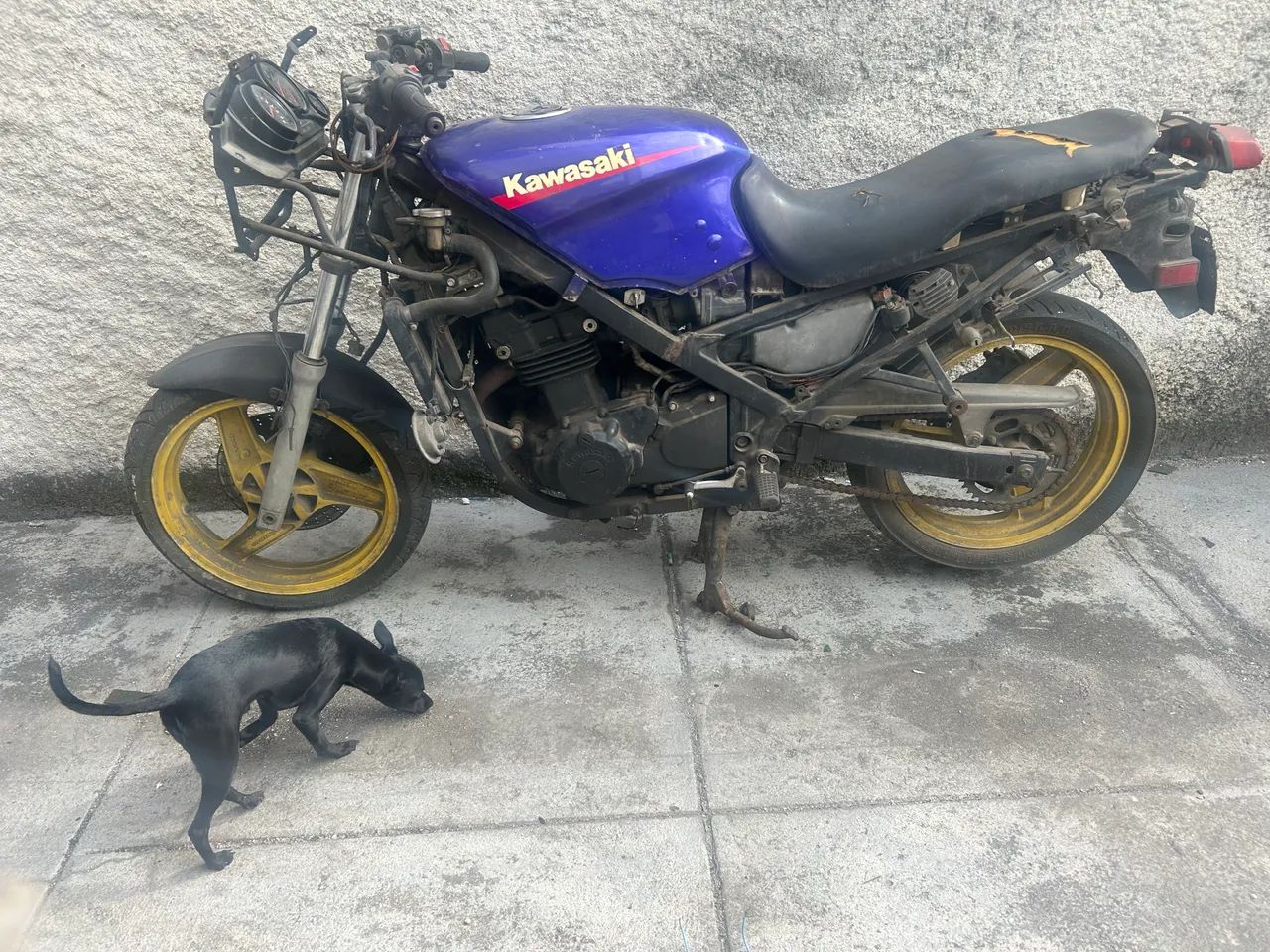 Motos Kawasaki Ninja 1996 no Brasil