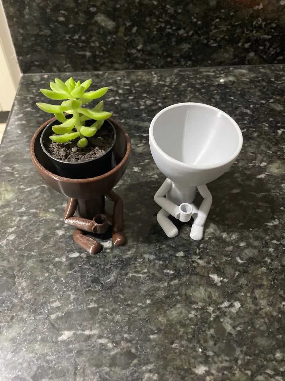 Vaso pra suculenta 3 D