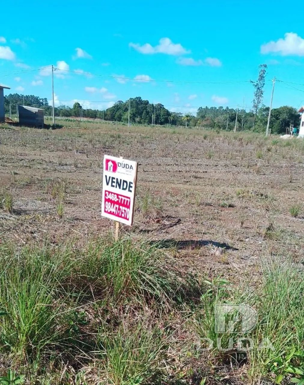 Terreno à venda em Nova Veneza - Foto 2