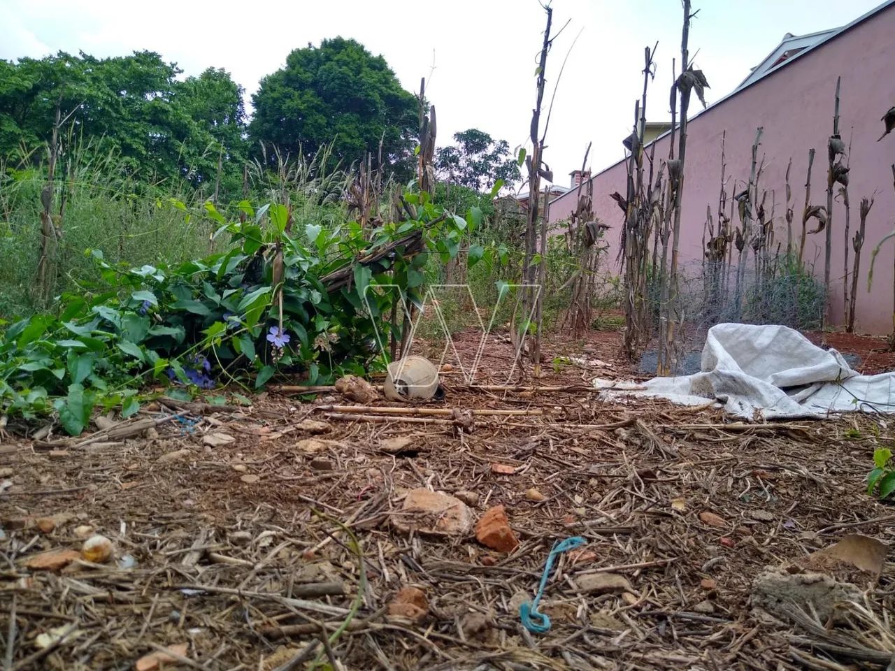 terreno - Sousas - Campinas - Foto 5