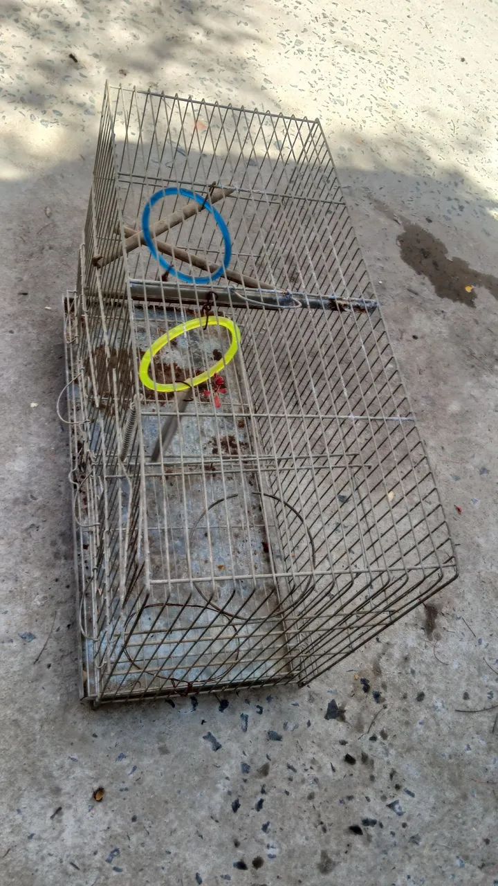 Gaiola (desapego) - Foto 2