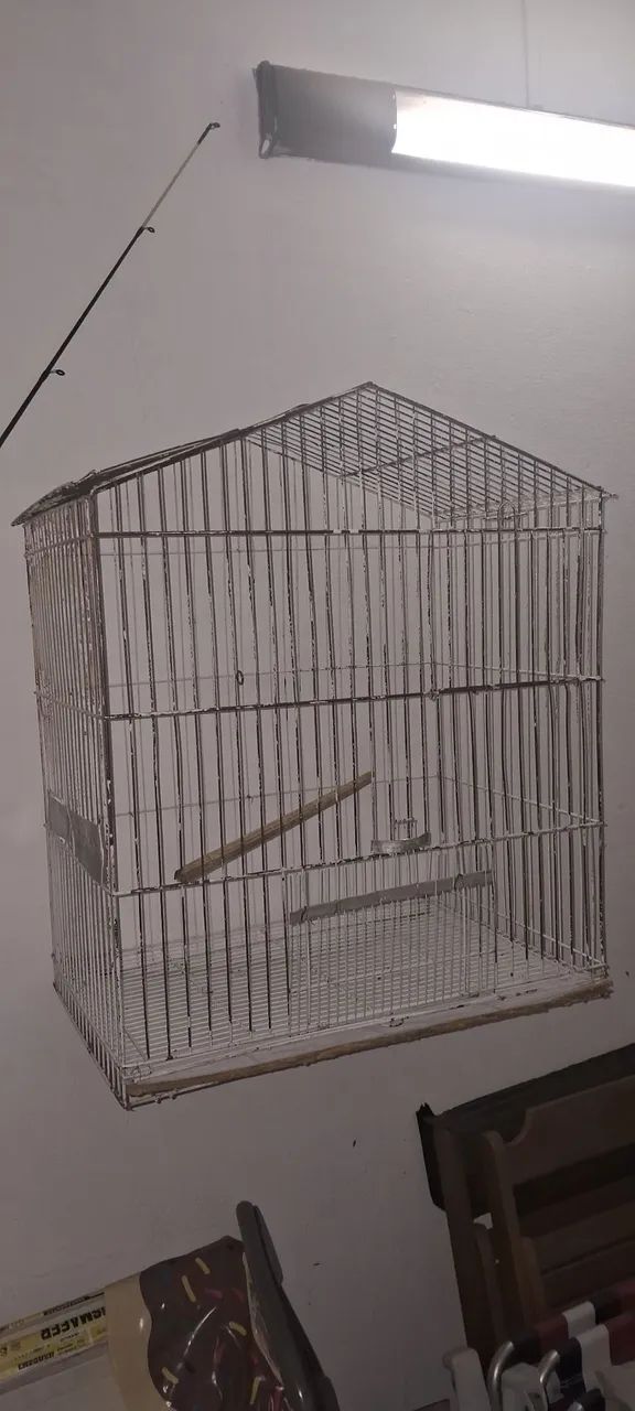 Gaiola grande  - Foto 3