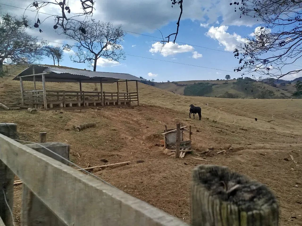 Fazenda em Oliveira /MG 65 hectares café E PLANTAÇOES DIVERSAS,, PODENDO USAR AGUA POR GRA - Foto 18
