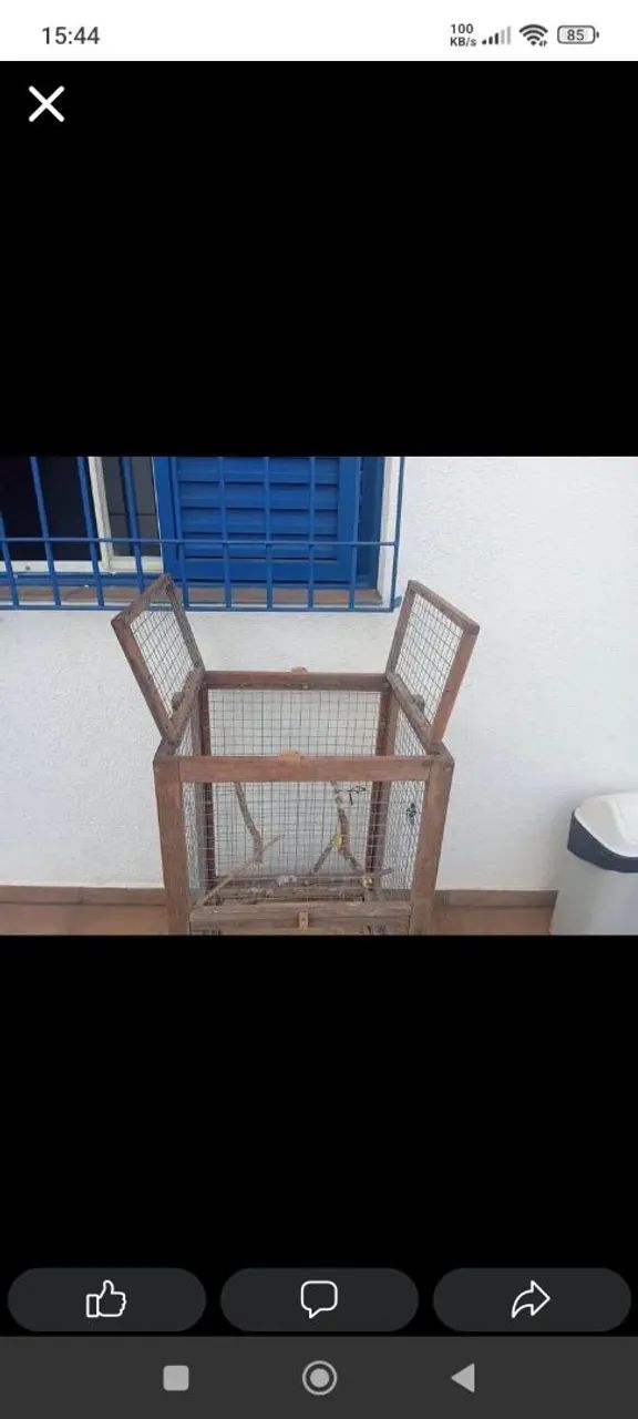 Viveiro para calopsitas e pássaros em geral  - Foto 4
