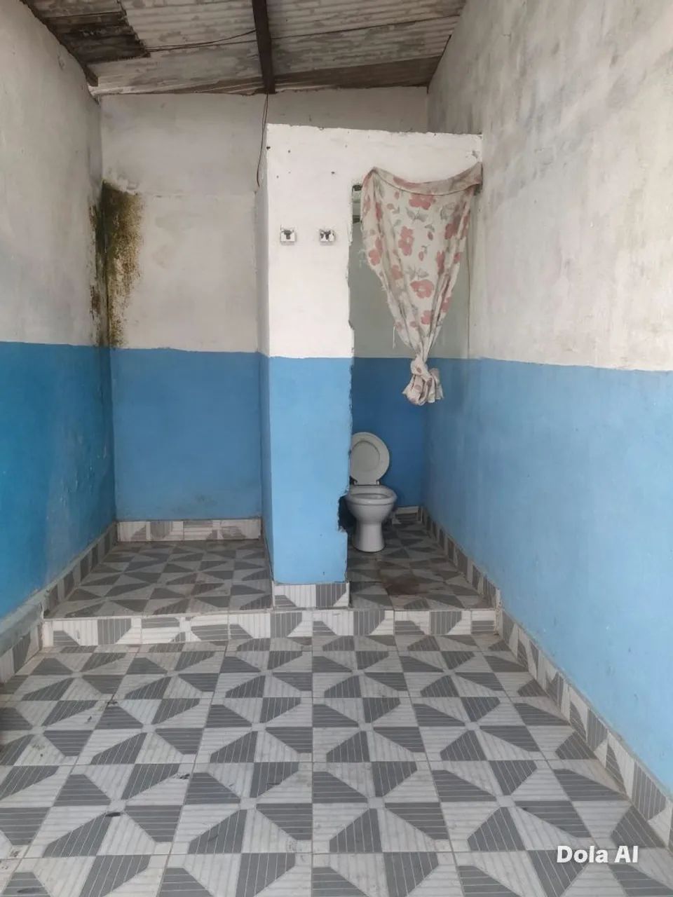 comunidade - Foto 4