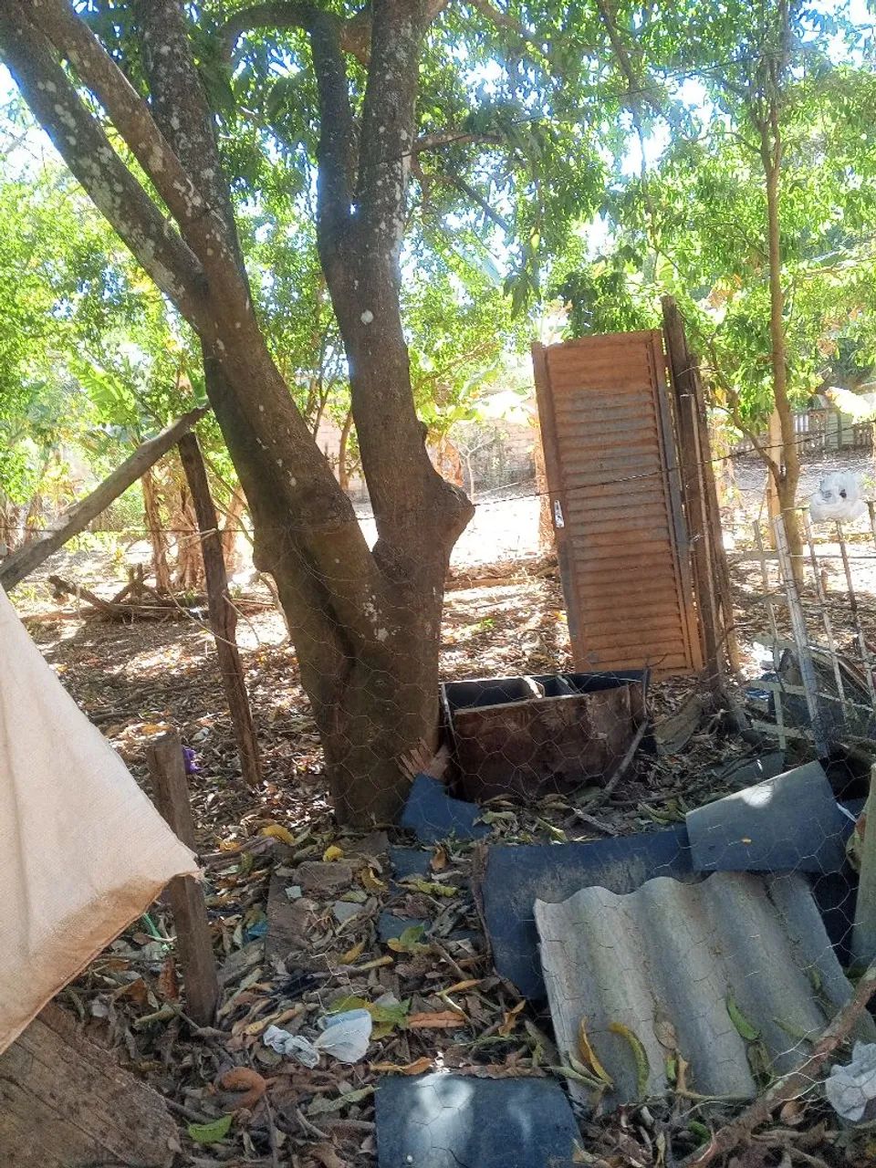LOTE. - Foto 3