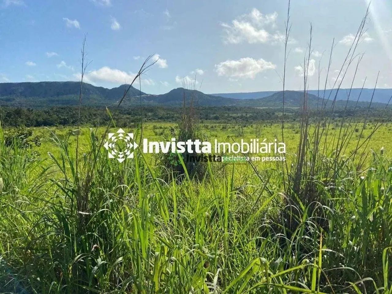 Fazenda de 200 alqueires com margem no Rio Tocantins e aptidão agrícola
