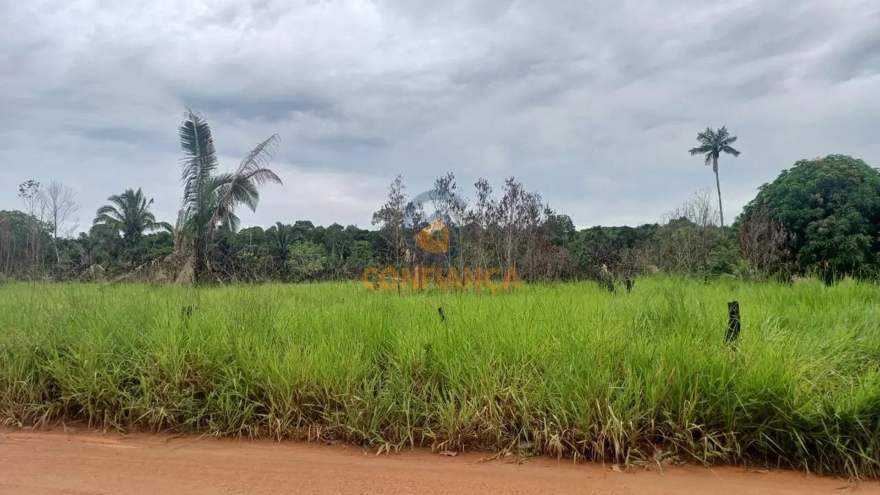 Chácara á Venda- BR 319 - Foto 5