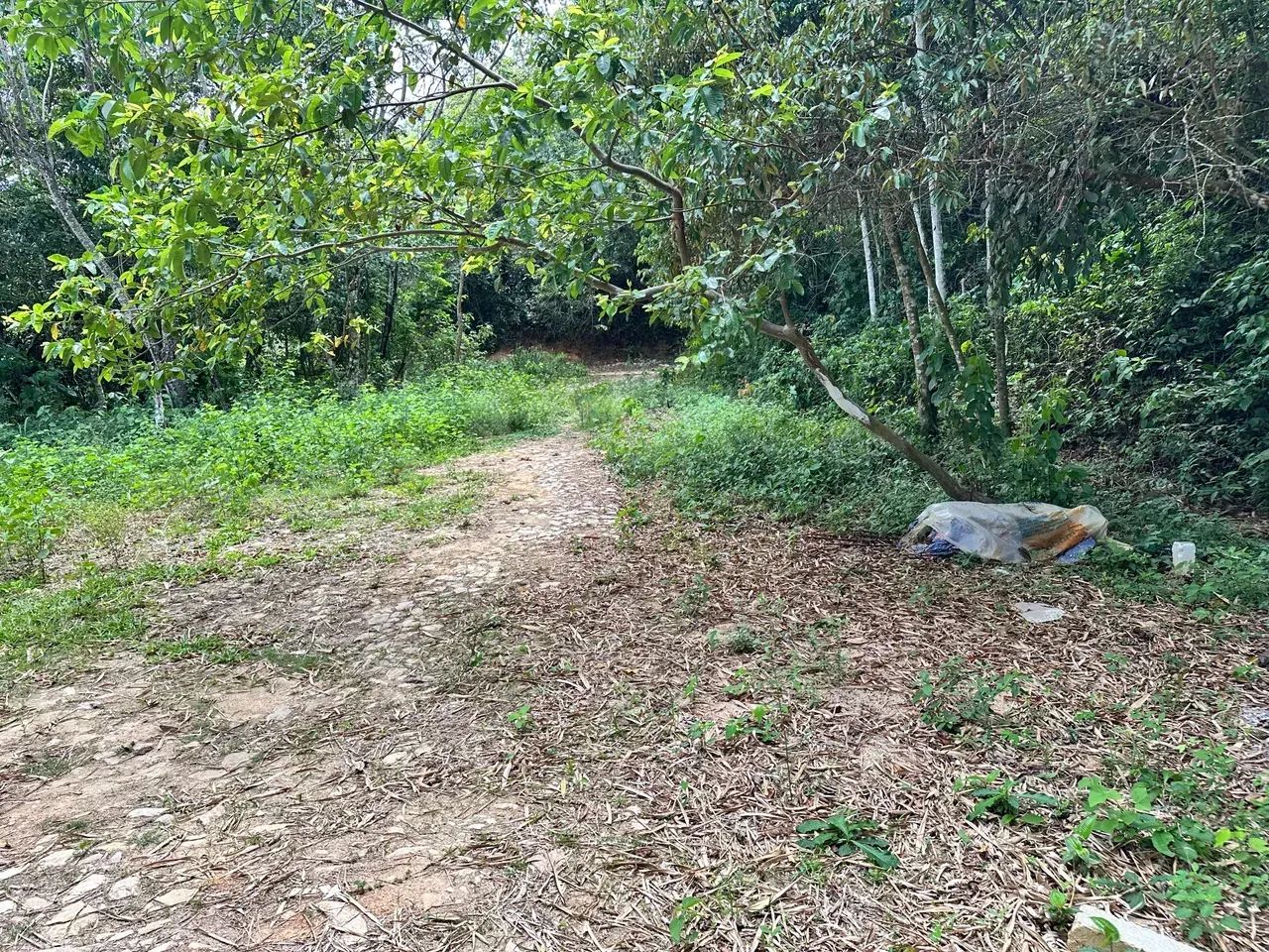 Lotes De 10X30 Na Serra De Pacoti, As Margens Da Ce 065, 3 Minutos Do Centro! Cód. KT58SI - Foto 8