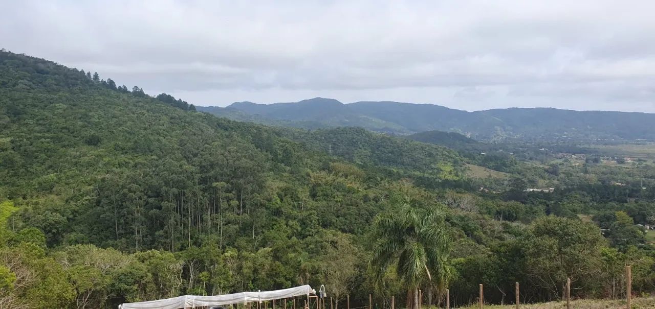 Terreno a venda no bairro Ratones com 5.050 m2 - Foto 3