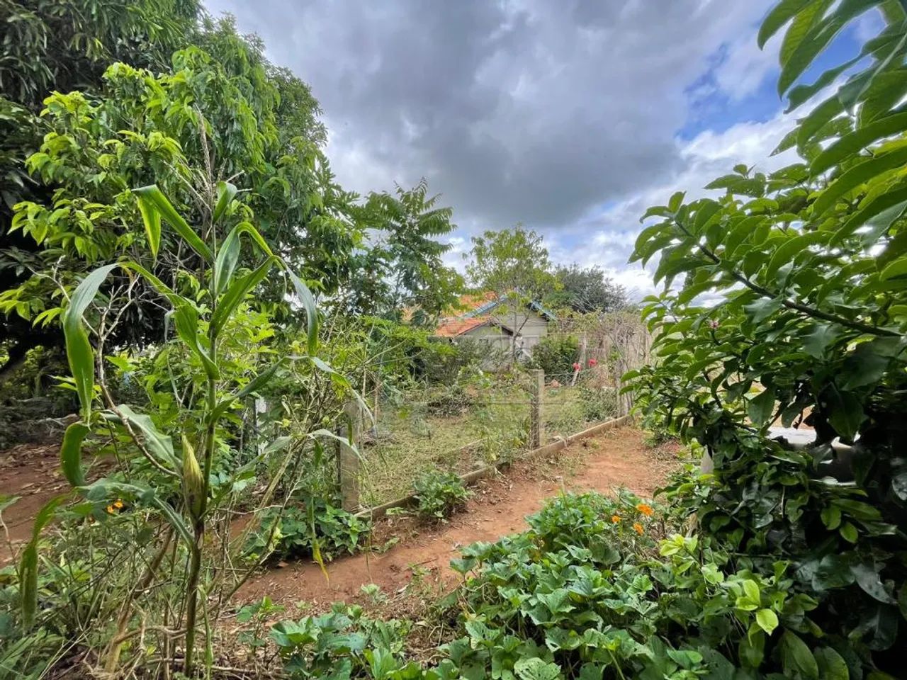Chácara de 240m² para venda - BRODOWSKI - Foto 4
