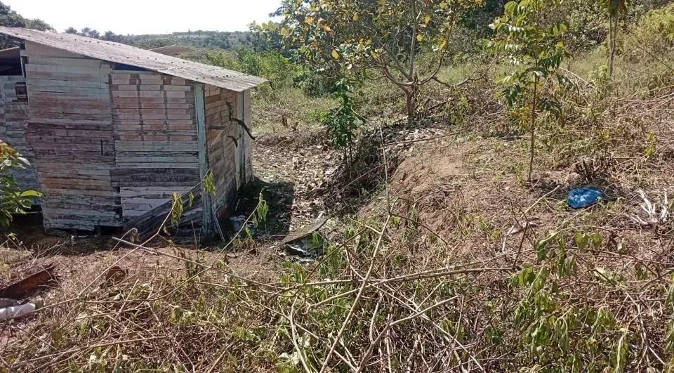 Vendo área rica em Coqueiro Seco - Foto 2