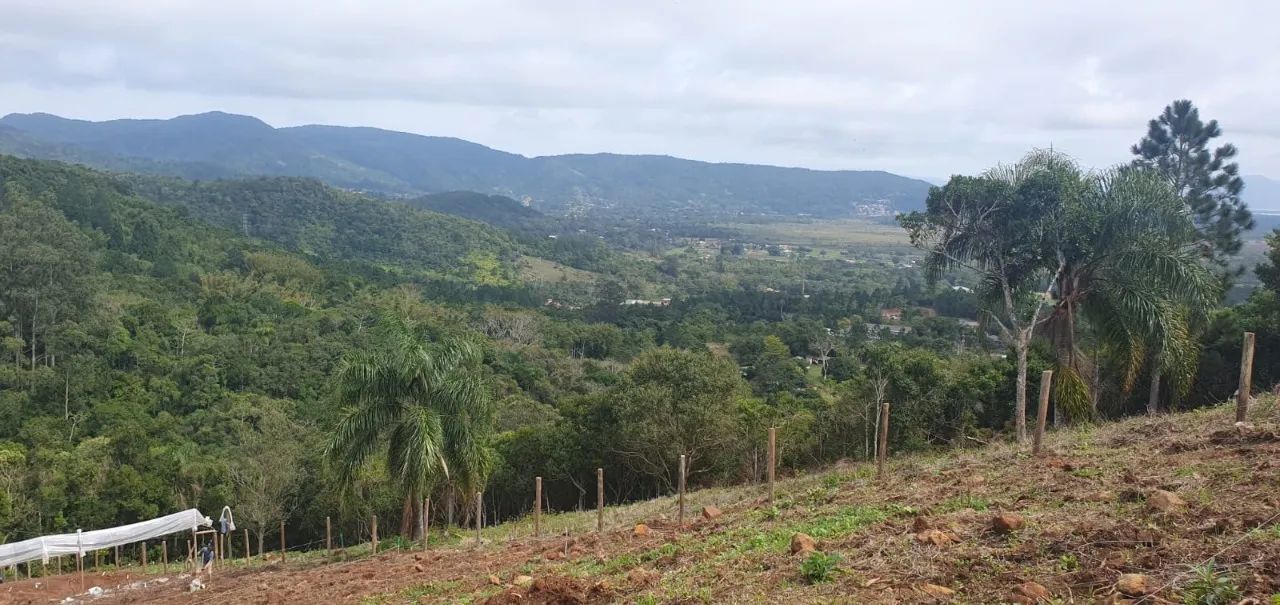 Terreno a venda no bairro Ratones com 5.050 m2 - Foto 4