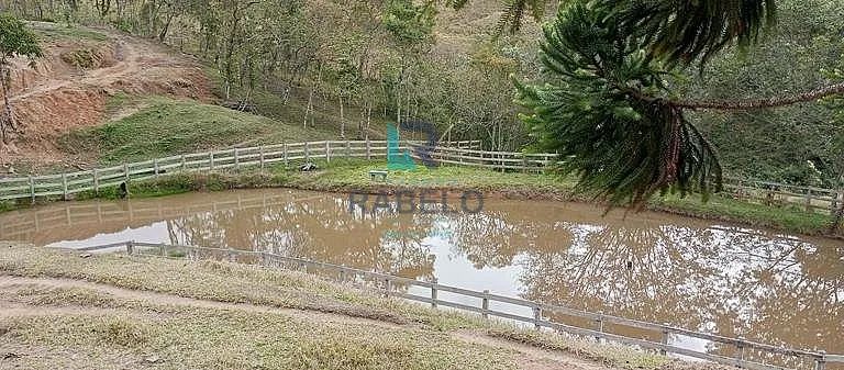 SÍTIO FORMADO COM ESTRUTURA PARA LEITE E CORTE EM LORENA-SP - Foto 4