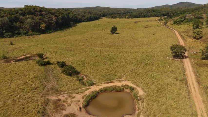 Fazenda para Pecuária 241 hectares - Foto 5