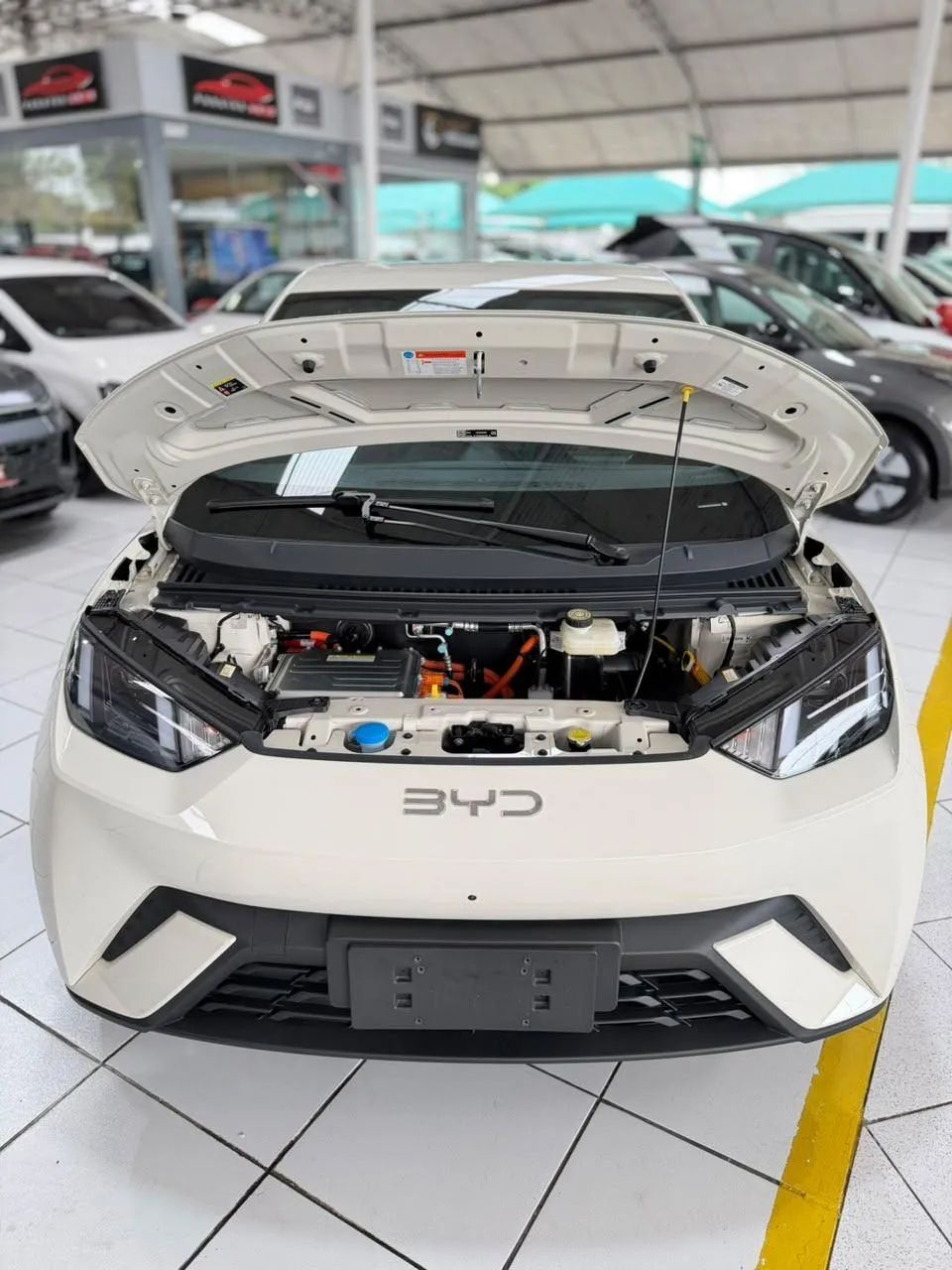 BYD Dolphin Mini (Elétrico) 2027 - Foto 2