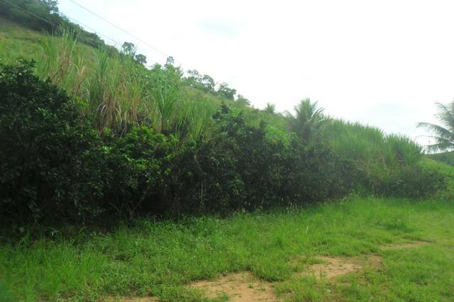 Fazenda 35 alqueires em colatina - Foto 12
