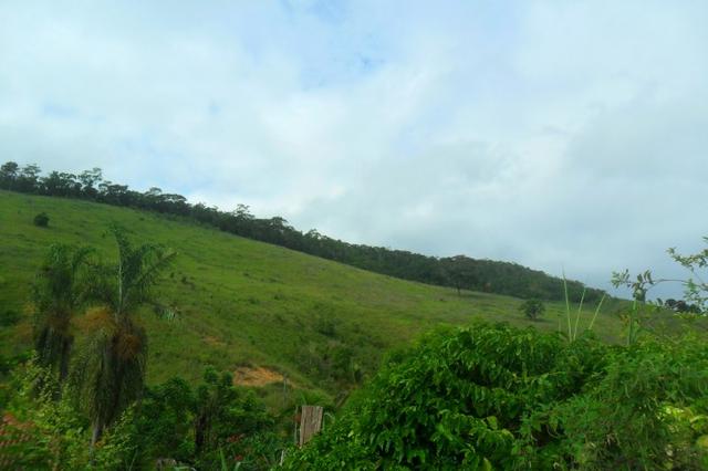 Fazenda 35 alqueires em colatina - Foto 5