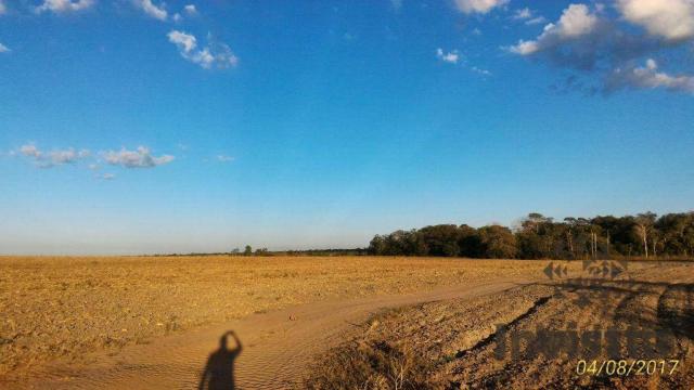 Oportunidade de excelente fazenda para agricultura!!!