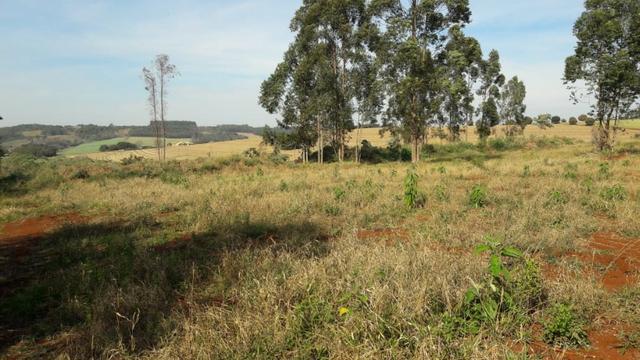 6km do Shopping Catuai, 1000m² em Londrina - Foto 2