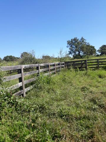 Fazenda 80 Alqueires município campina verde - Foto 15