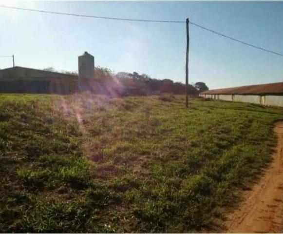 Granja em arealva s/p - Foto 6