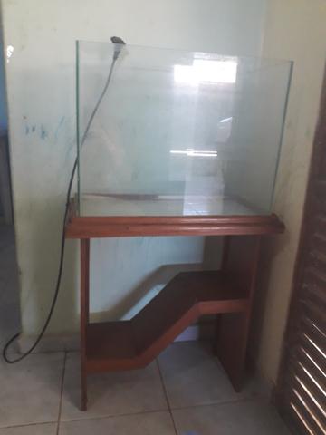 Aquário com decoracões