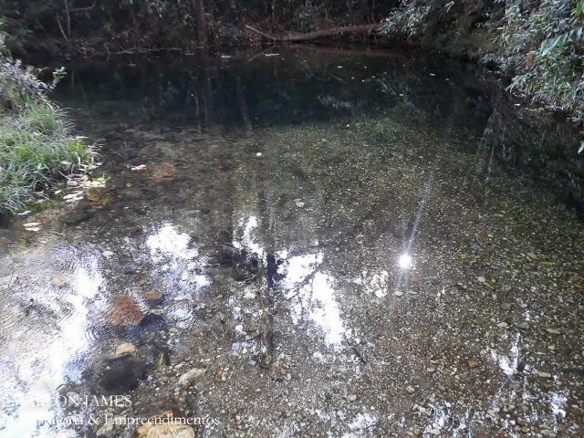 Fazenda Cultura entre Goiás e Mossamedes! - Foto 12