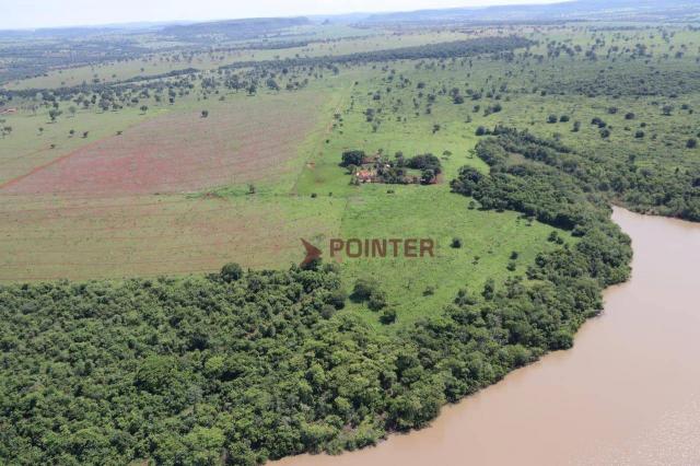 Fazenda Pouso Alto no município de Cachoeira Alta - Go. - Foto 9