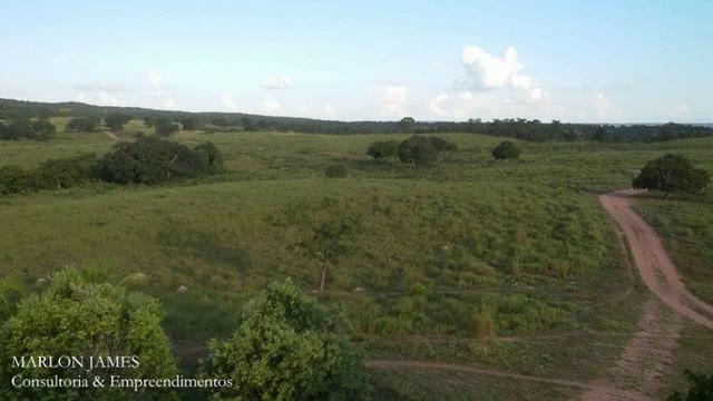 Fazenda próximo a Aragarças e 30 km de Ponte Alta para gado e lazer! - Foto 6