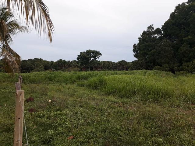 Vende-se fazenda de 10 alqueires município de Monte Santo aceita carro, moto, casa,