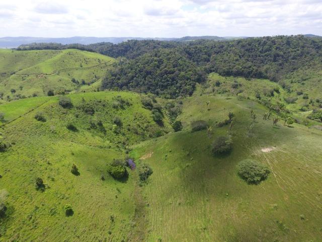Fazenda 400 Hectares - 5 Nascentes no Município de Colonia - Foto 17