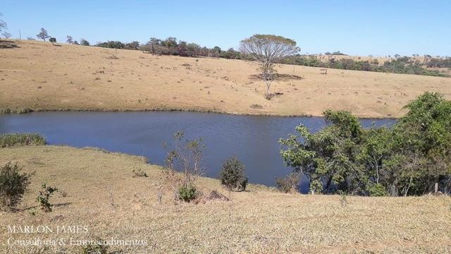 Fazenda Cultura entre Goiás e Mossamedes! - Foto 3