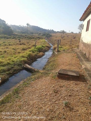 Fazenda Cultura entre Goiás e Mossamedes! - Foto 19