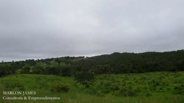 Fazenda próximo a Aragarças e 30 km de Ponte Alta para gado e lazer! - Foto 3