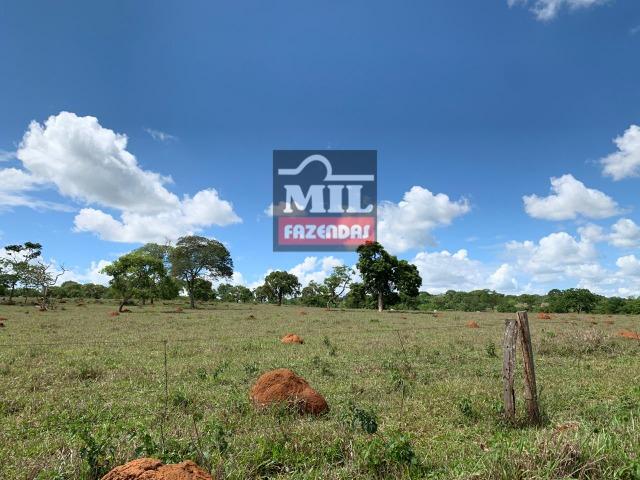 Fazenda 43 Alqueires ( 208 hectares ) Bonfinópolis-GO - Foto 7