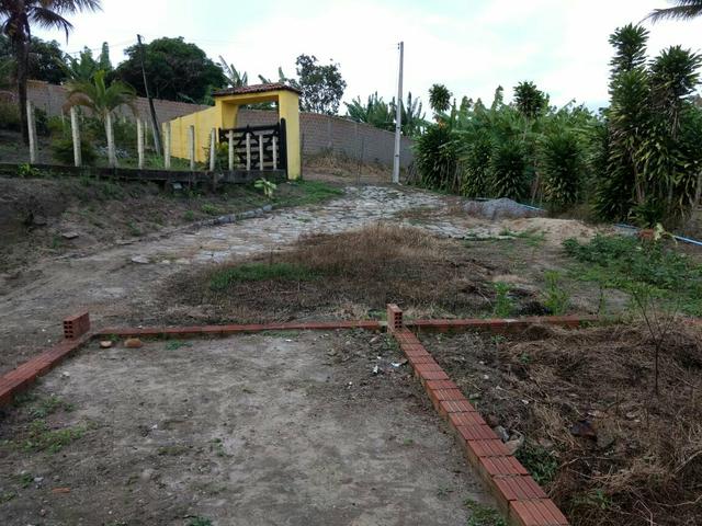 Terreno no Muricy - Foto 16