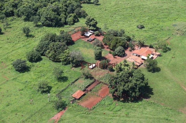 Fazenda Pouso Alto no município de Cachoeira Alta - Go. - Foto 4