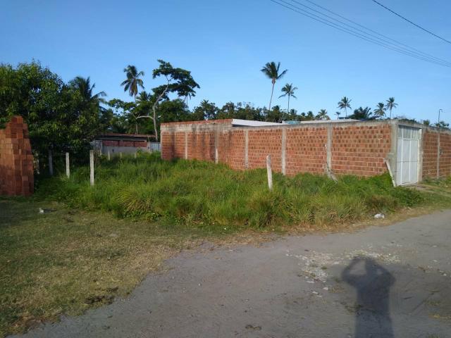 Terreno - Foto 7