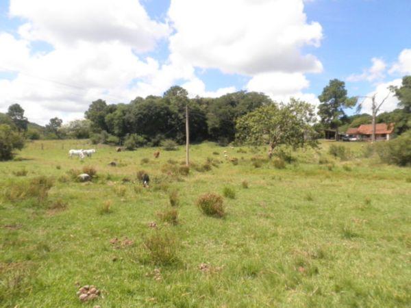 Terreno à venda com 0 dormitórios em Lami, Porto alegre cod:EX9118