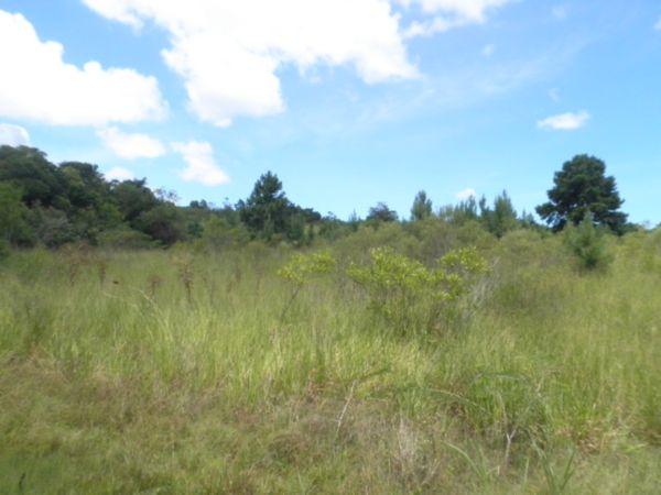 Terreno à venda com 0 dormitórios em Lami, Porto alegre cod:EX9118 - Foto 3