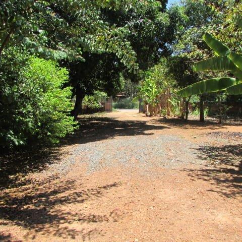 Ranchinho simples p finais de semana na região de três marias !!. Exelente p confinamento - Foto 12