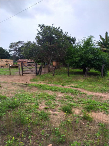 FAZENDA MUNICIPIO PINDORAMA 53 ALQUEIRES OBS. VALOR DO ALQUEIRES. - Foto 18