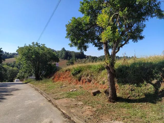 Lote urbano vila Prado  - Foto 2