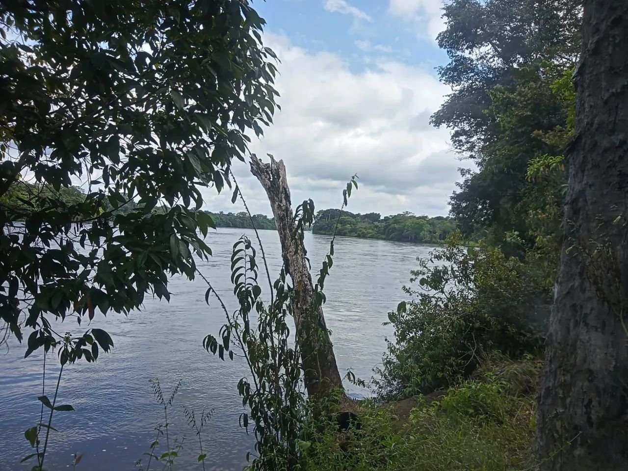 foto - Manaus - Santa Etelvina