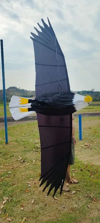  Água Premier RC  - Foto 4