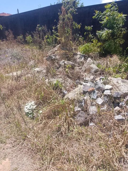 Vendo mais de 1 carrada de pedra pra alicerce - Foto 3