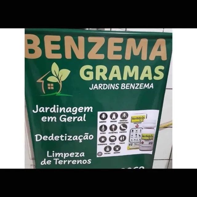 Benzema Jardinagem em geral Dedetizacao