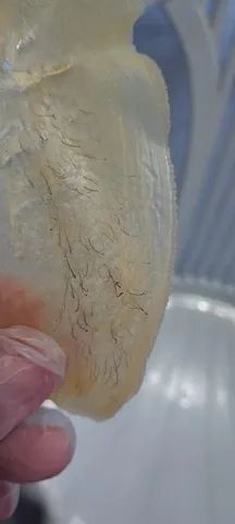 Depilação em domicílio  - Foto 5